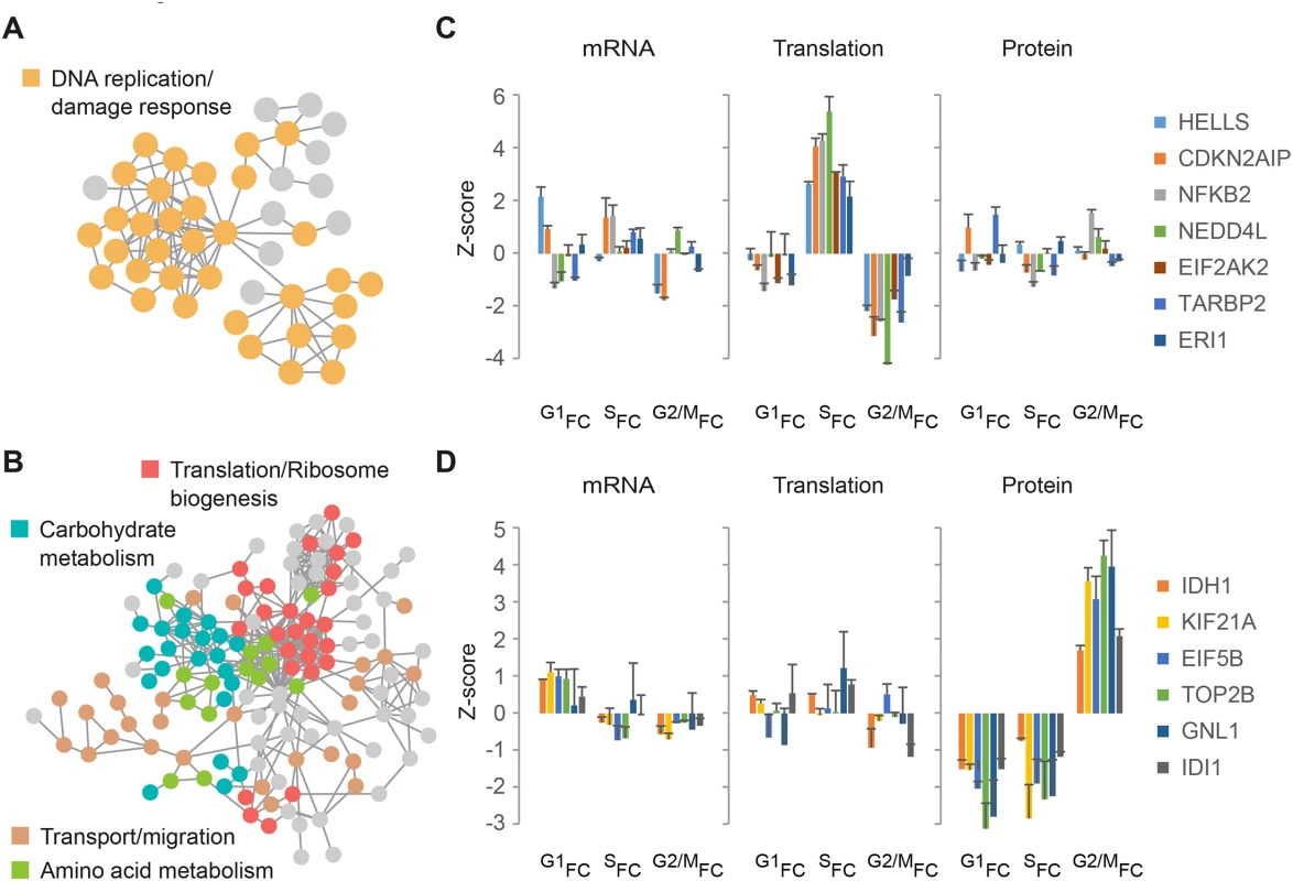 Network analysis.