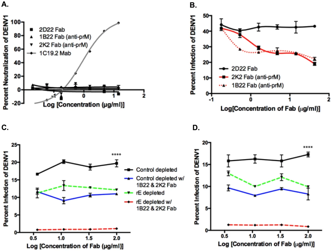 prM-specific and rE-specific cross-reactive antibodies together make up the entire population of enhancing antibodies in DENV-immune human sera.