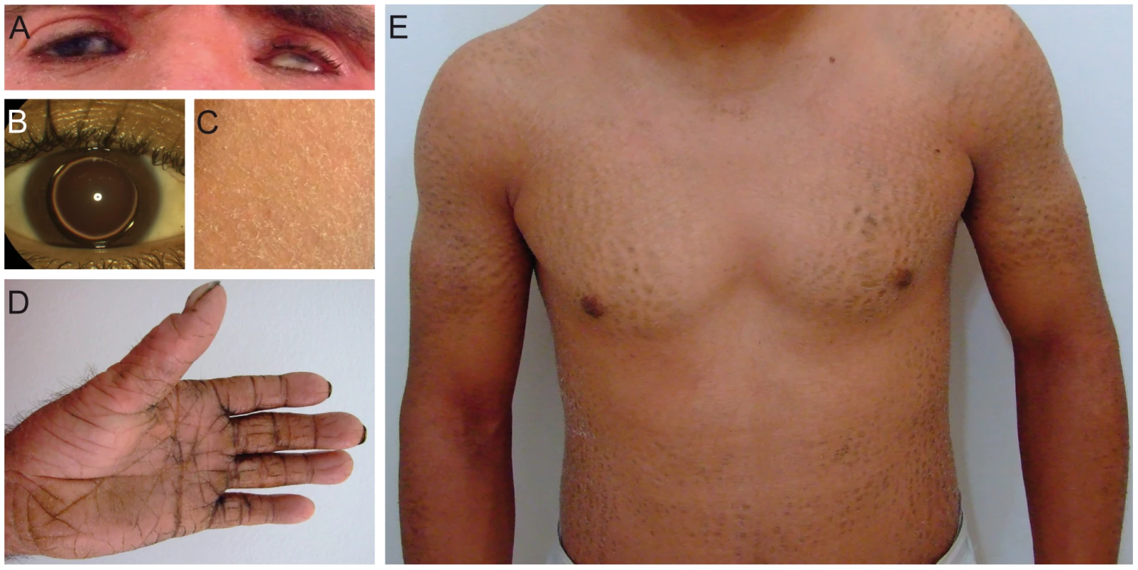Clinical features of patients.