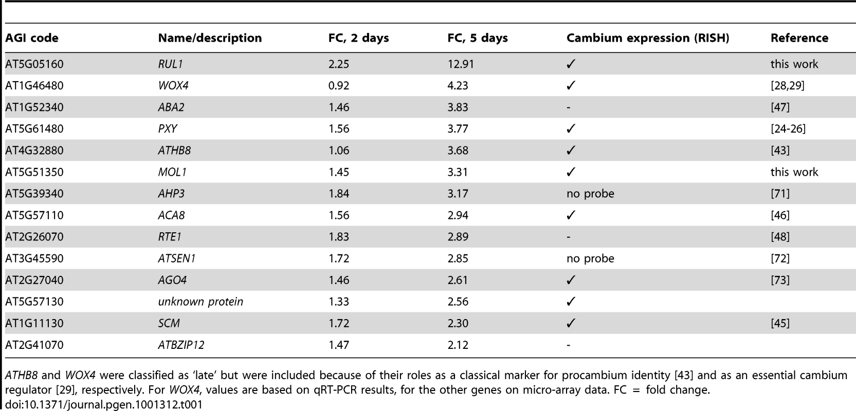 Genes selected for RISH analysis.