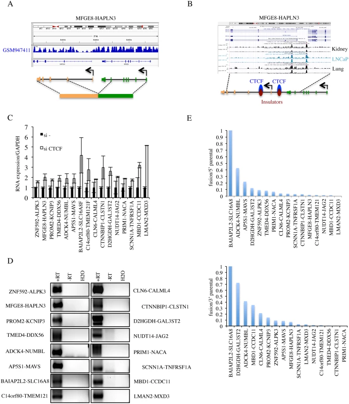 Procedures to further identify cis-SAGe fusions.
