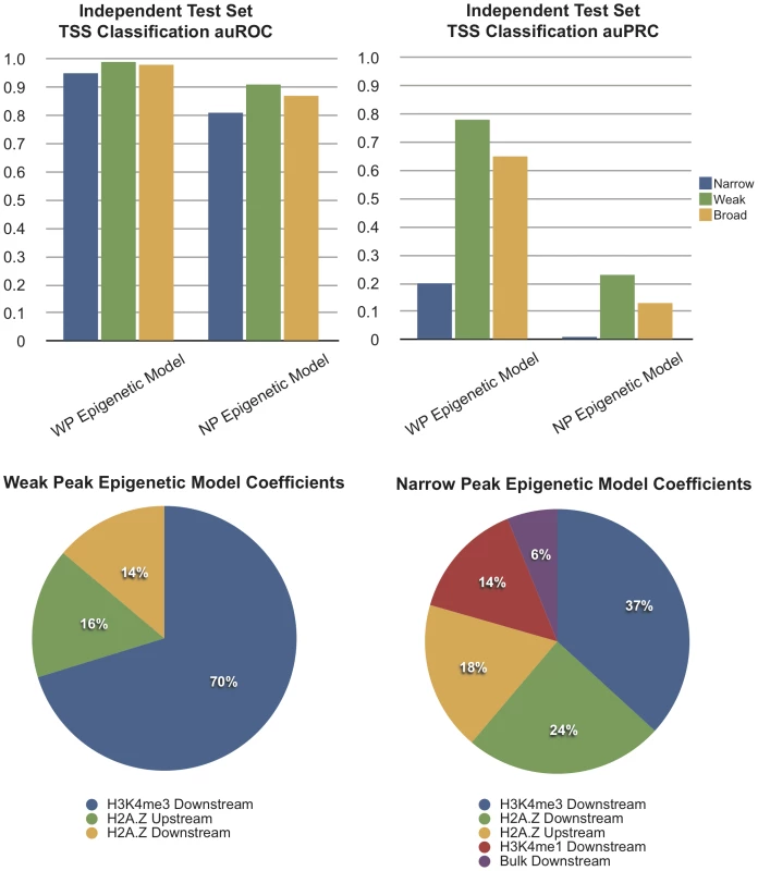 Computational Models Using Chromatin Features Show Different Accuracy for Promoter Classes.