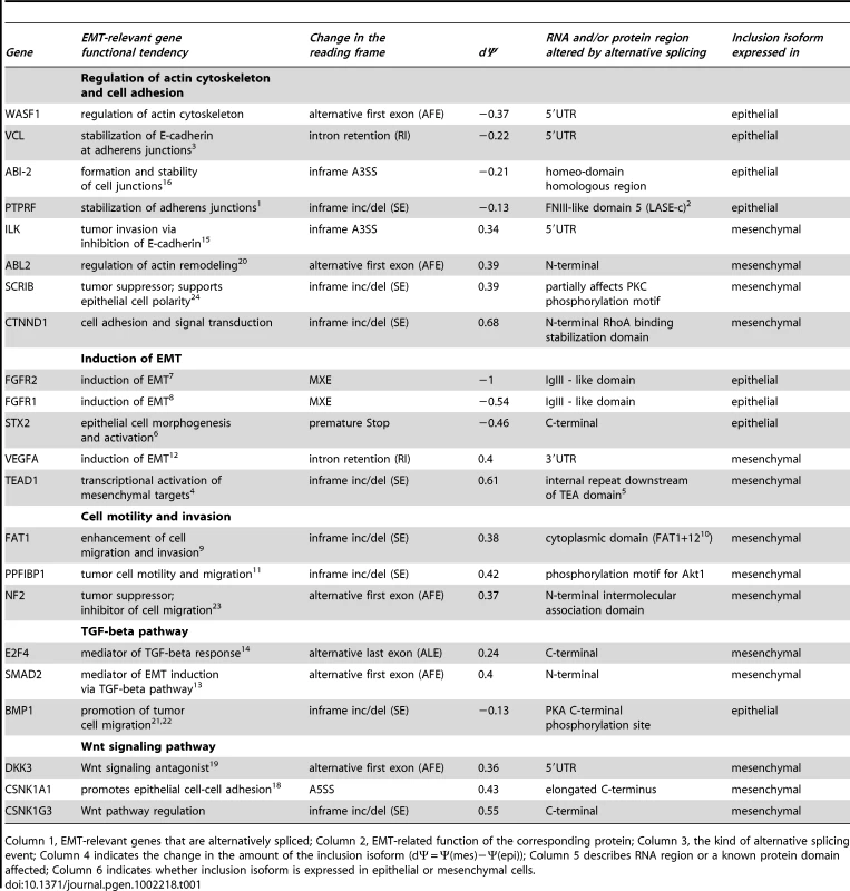Functional consequences of alternative splicing in EMT.