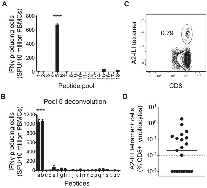 Human CD8 T cells recognize a dominant epitope in the VZV ribonucleotide reductase subunit 2.