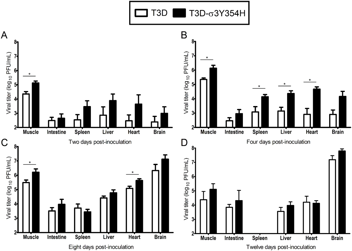 Viral loads are higher in mice infected with T3D-σ3Y354H.