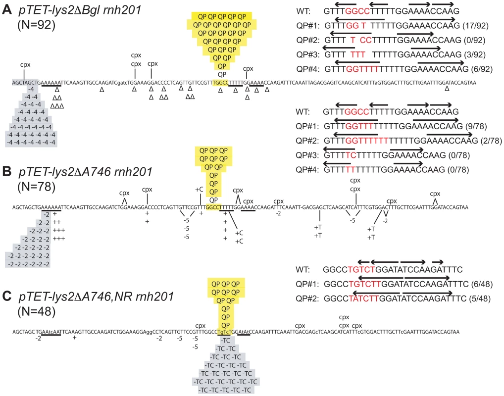 Reversion spectra in <i>rnh201Δ</i> backgrounds under high-transcription conditions.