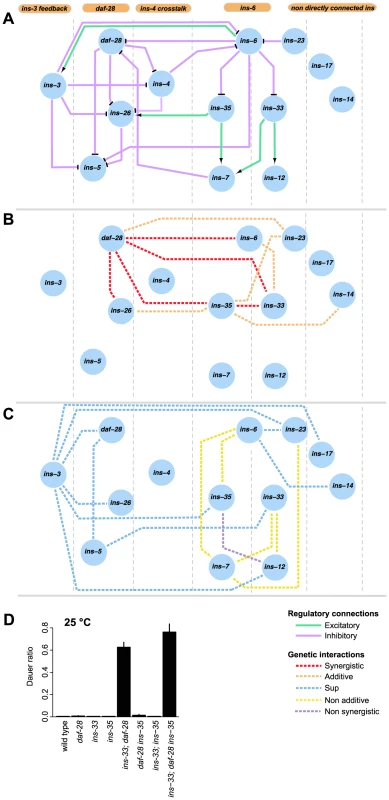 Information flow in the dauer entry sub-network.