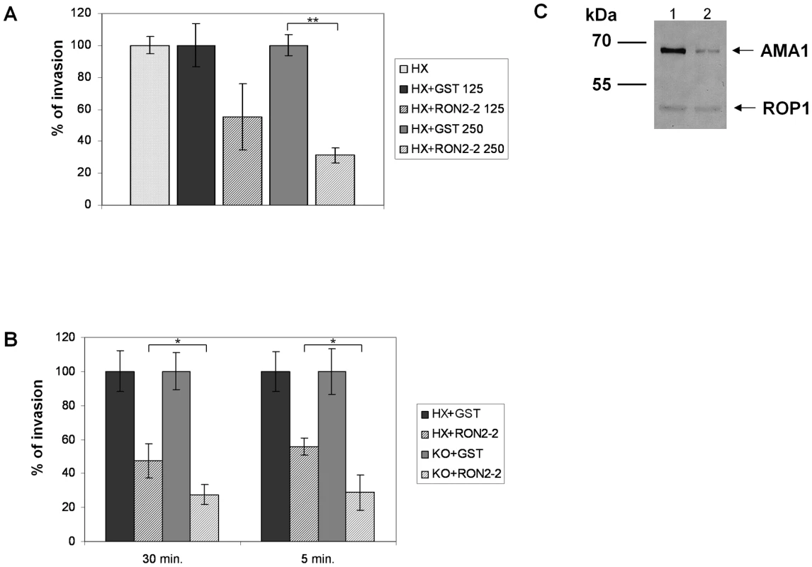 TgRON2-2 inhibits <i>T. gondii</i> invasion by interfering with endogenous RON2-AMA1 interaction.