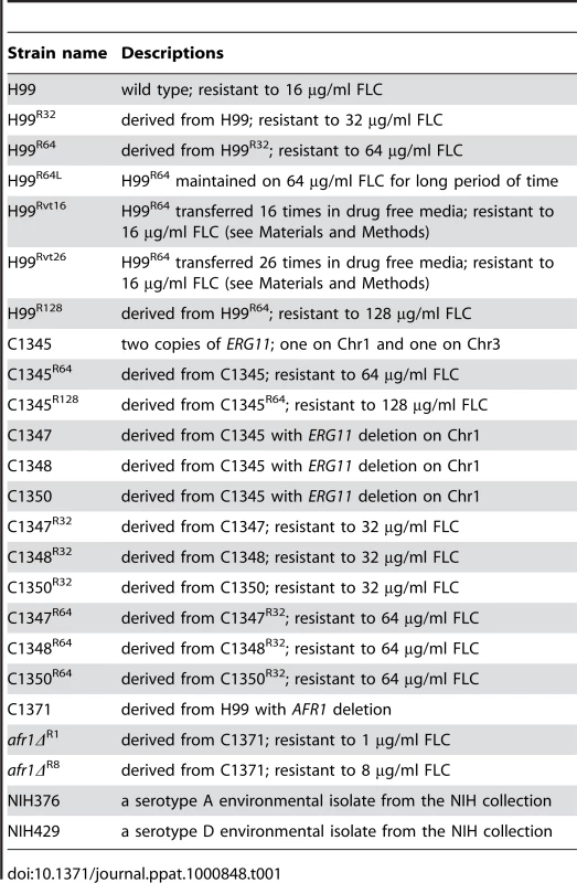 Strains used in the study.