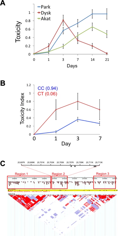 Human <i>ABCB5</i> alleles and HIT.