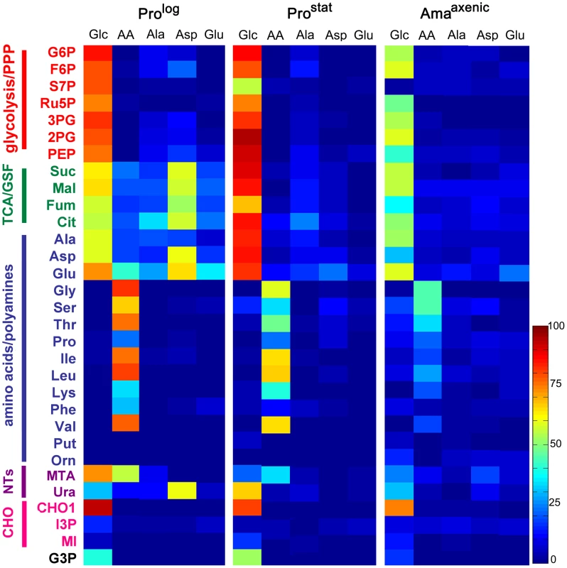 Isotopic enrichment of intracellular metabolite pools following cultivation with different <sup>13</sup>C-labeled carbon sources.