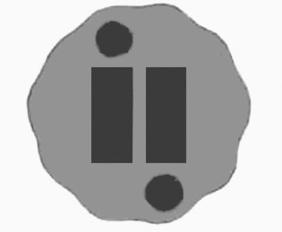 Logo Interpharmy