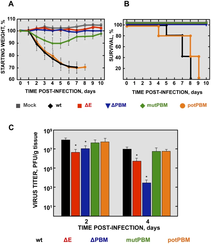 Virulence and viral growth of SARS-CoV-E-PBM-infected mice.