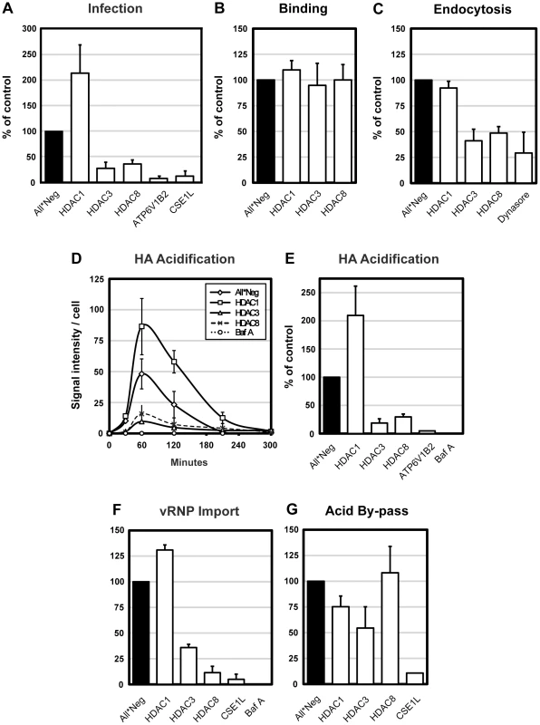 HDAC8 is required for IAV X31 infection, endocytosis and HA acidification.