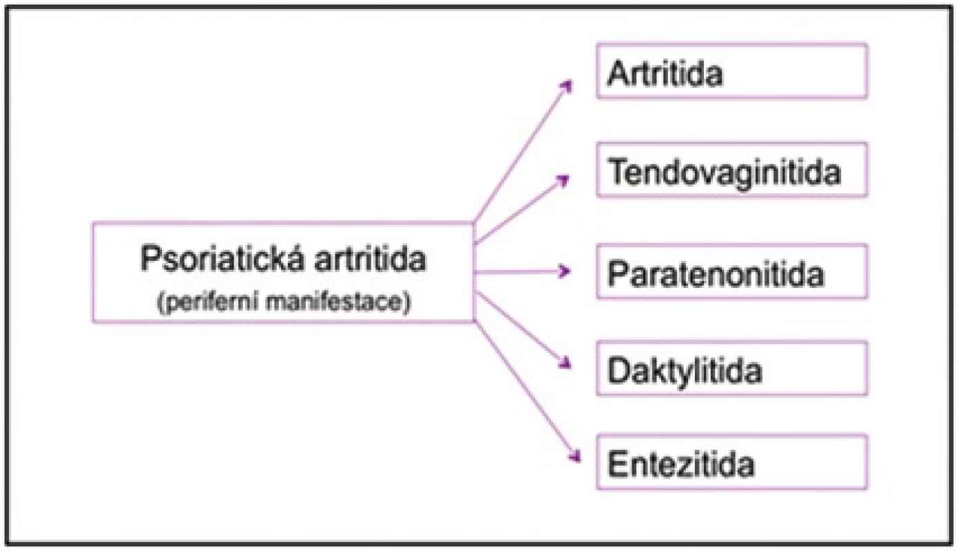 Periferní manifestace psoriatické artritidy