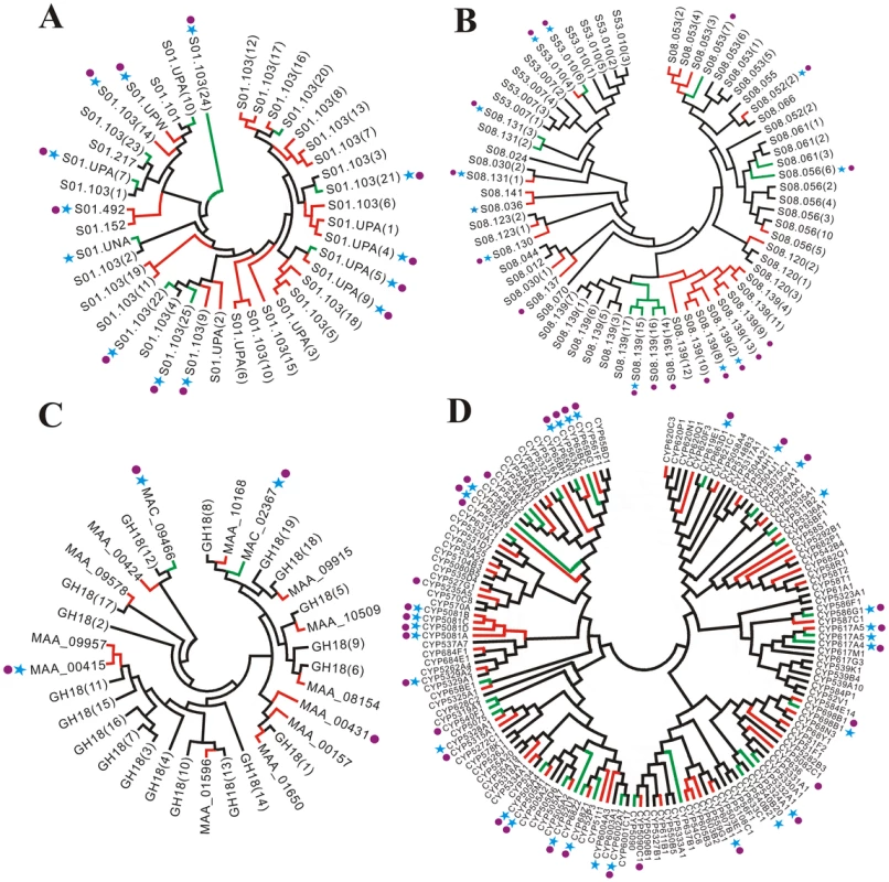 Unrooted phylogenetic trees showing differences in gene expansion in <i>M. anisopliae</i> and <i>M. acridum.</i>