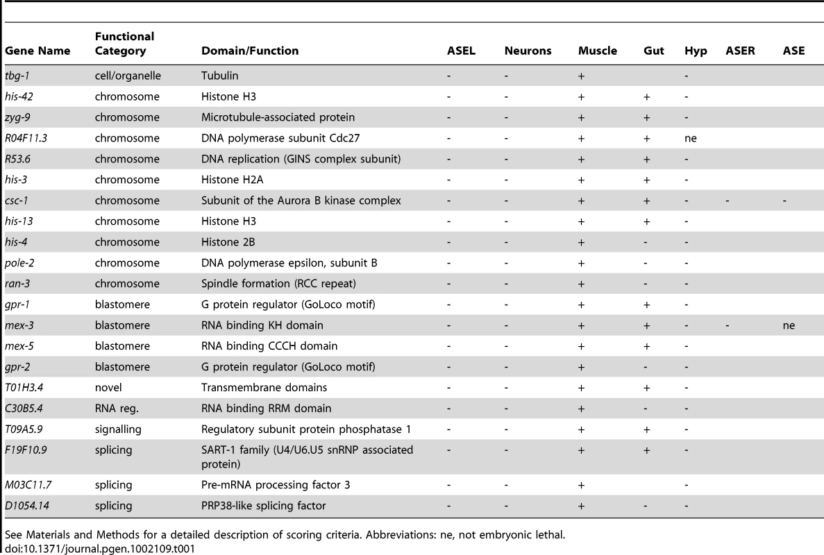 Genes that elicit broad neuronal defects when knocked-down by RNAi.