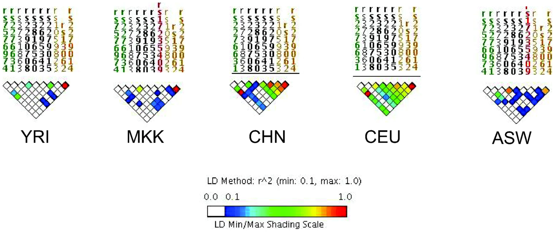 Linkage disequilibrium (LD) of the NRAMP1 gene for HapMap reference populations.