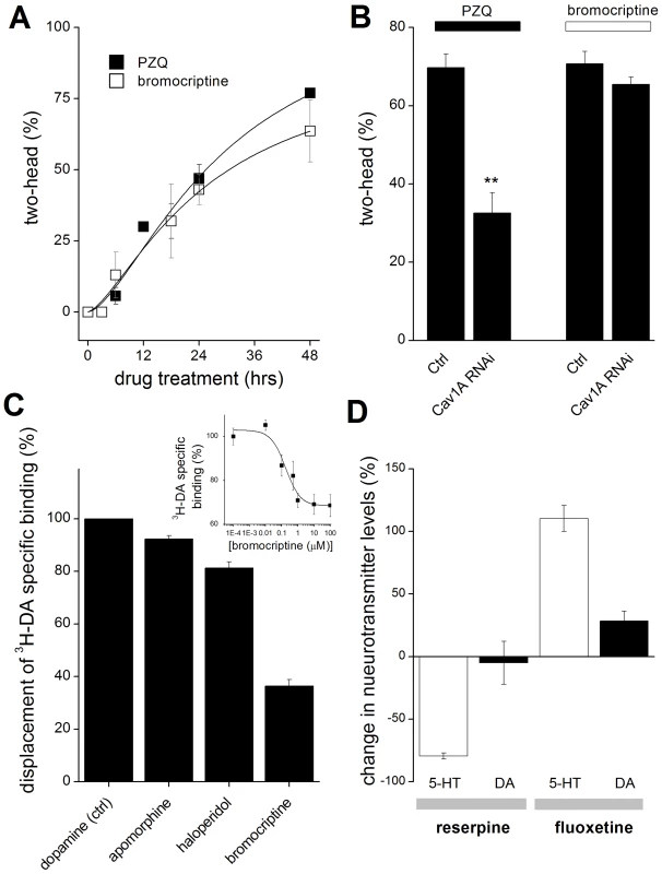 Analysis of drug action and selectivity in the planarian system.