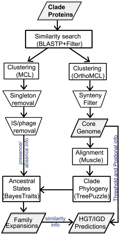 Protein family construction pipeline.
