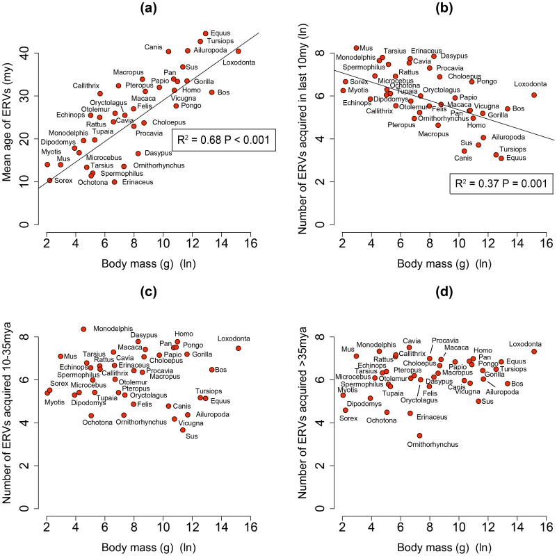 (a) Correlation between mean age of all ERV integrations and body mass from the genomes of 38 mammals.