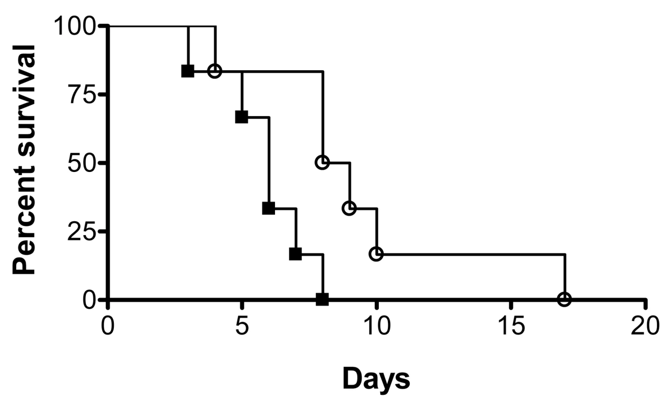 Dispersed cells display increased virulence in vivo.