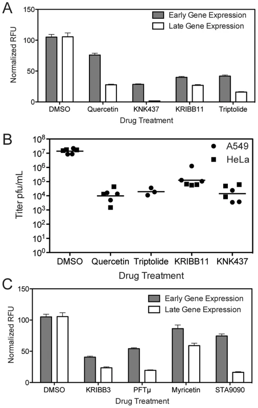 Inhibitors that target HSF1 or HSF1-transcribed genes block VACV infection.