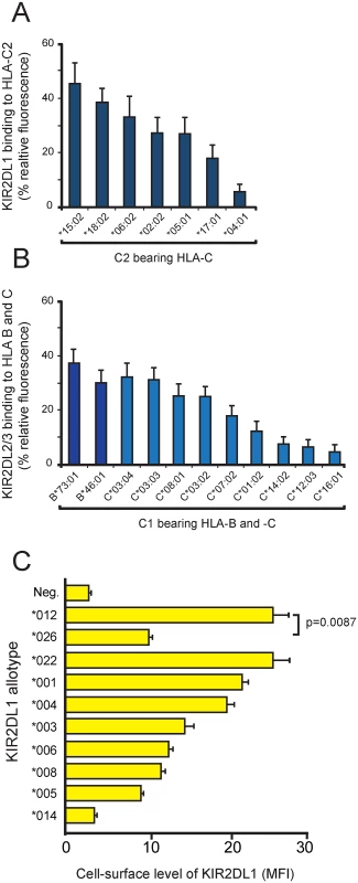 KIR polymorphism modulates the avidity and specificity for HLA-C, as well as KIR abundance at the cell surface.