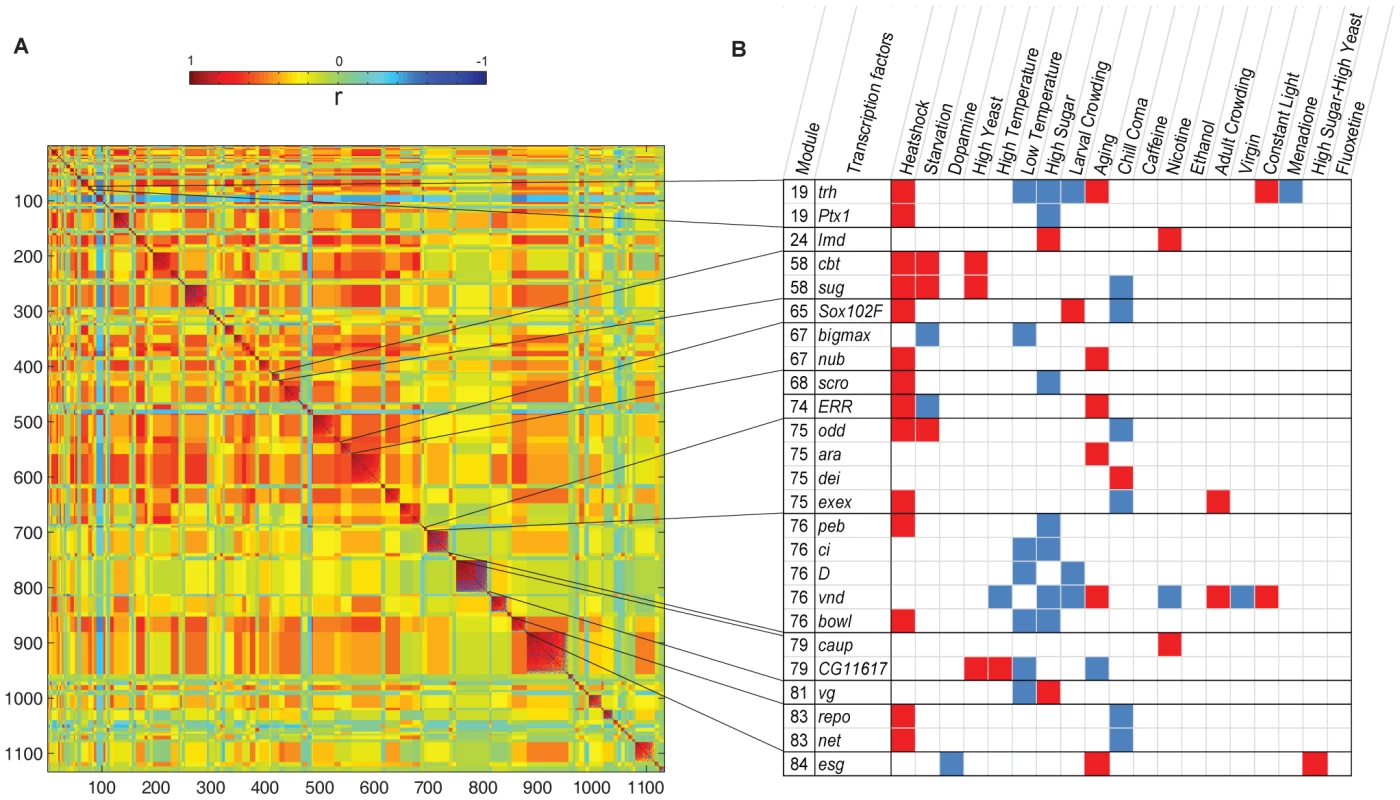 Modular organization of the Class I phenotypically plastic transcriptome.