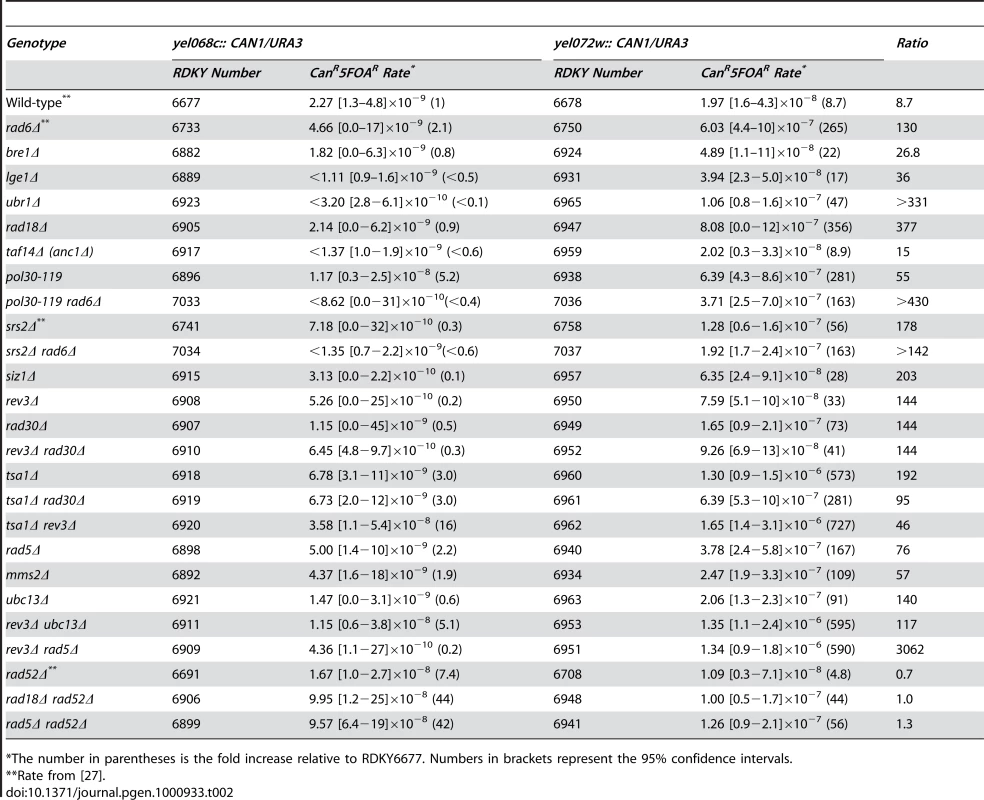 Effects of mutations in PRR subpathways on duplication-mediated GCRs.