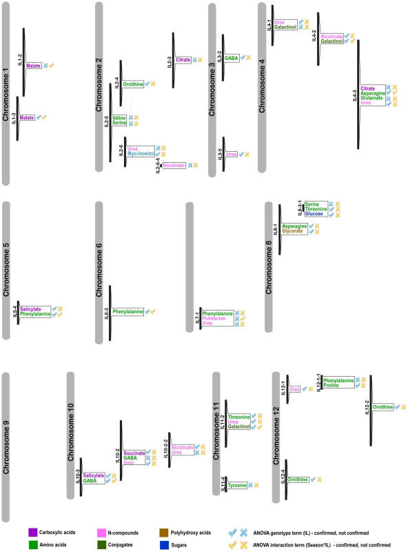 mQTL map of shared significant changes over seasons I and II.