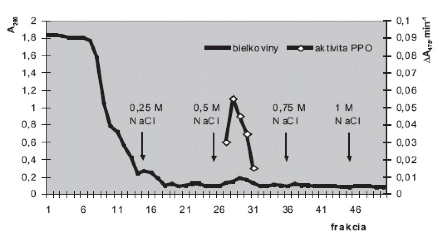 Purifikácia polyfenoloxidázy zo suspenzných kultúr slncovky kalifornskej na stĺpci DEAE-sefarózy Elúcia fosforečnanovými tlmivými roztokmi (50 mmol.l<sup>-1</sup>; pH 6,5) s postupne sa zvyšujúcimi koncentráciami NaCl (0; 0,25; 0,5; 0,75 a 1 mmol.l<sup>-1</sup>). Stĺpec: 12 cm × priemer 15 mm; rýchlosť prietoku cca 25 ml.h<sup>-1</sup>. Prítomnosť bielkovín v zachytených 2,5 ml frakciách monitorovaná meraním absorbancie pri 280 nm (A<sub>280</sub>); aktivita PPO meraná spektrofotometricky pri 475 nm (A<sub>475</sub>.min<sup>-1</sup>). Substrát: dopamín vo výslednej koncentrácii 2 mmol.l<sup>-1</sup>