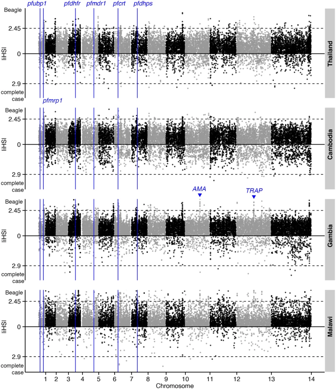 The top |<i>iHS</i>| hits in 4 global <i>P</i>. <i>falciparum</i> populations.