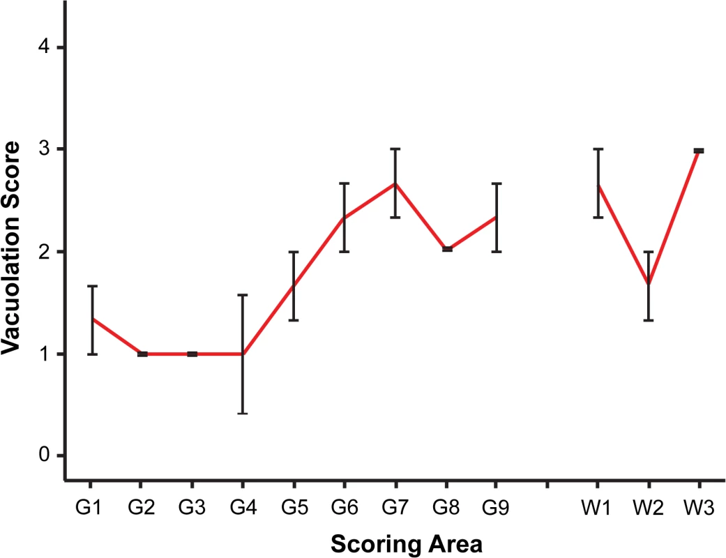 Vacuolar lesion profile of CD-1 mice challenged by i.p. inoculation of rec-Prions.