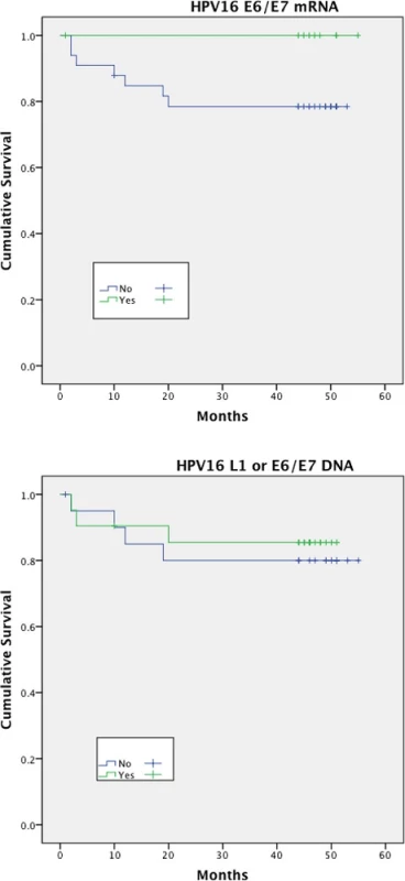 Disease specific survival (DSS)<sup>†</sup> stratified by HPV mRNA/DNA (Log- Rank multiple regression analysis <i>p</i> = 0.17 and <i>p</i> = 0.66 respectively)