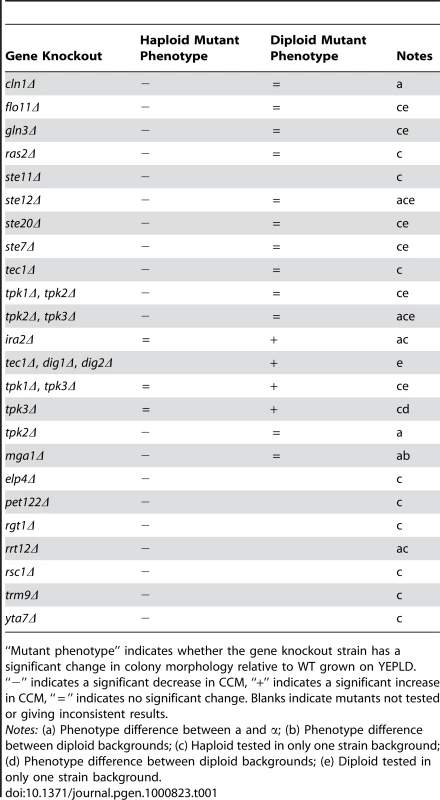 Mutations with colony morphology phenotypes.