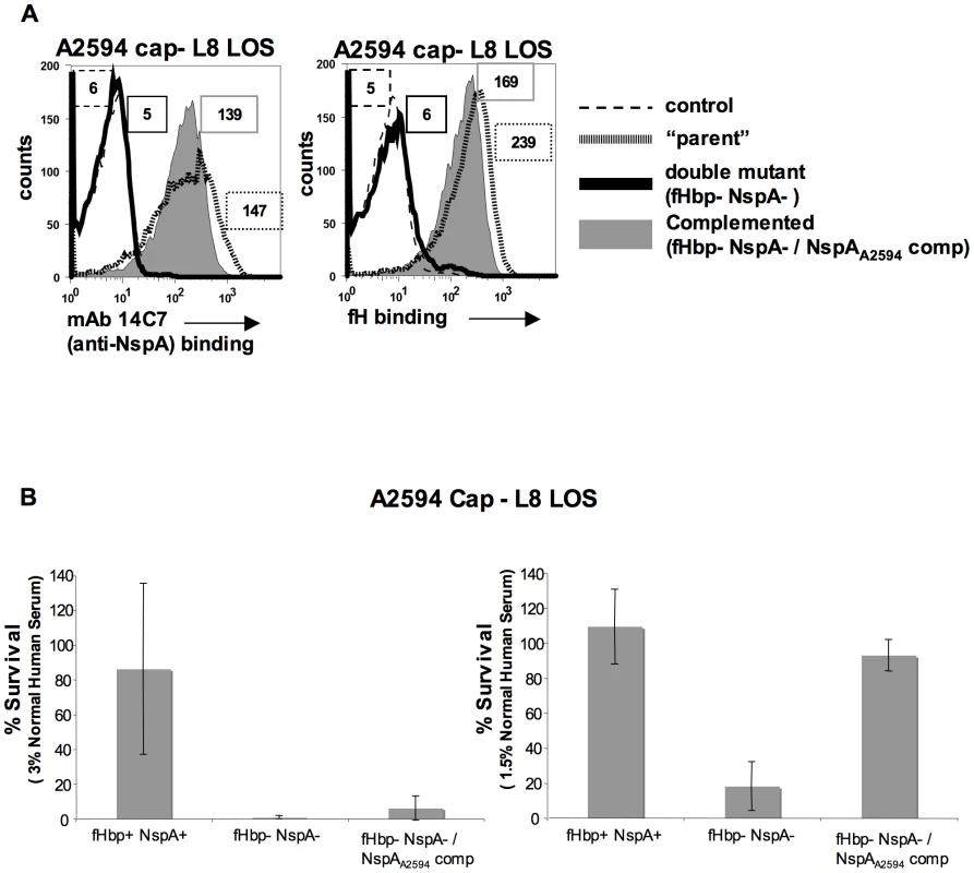 Complementation of fHbp NspA double mutants with NspA restores fH binding and serum resistance.