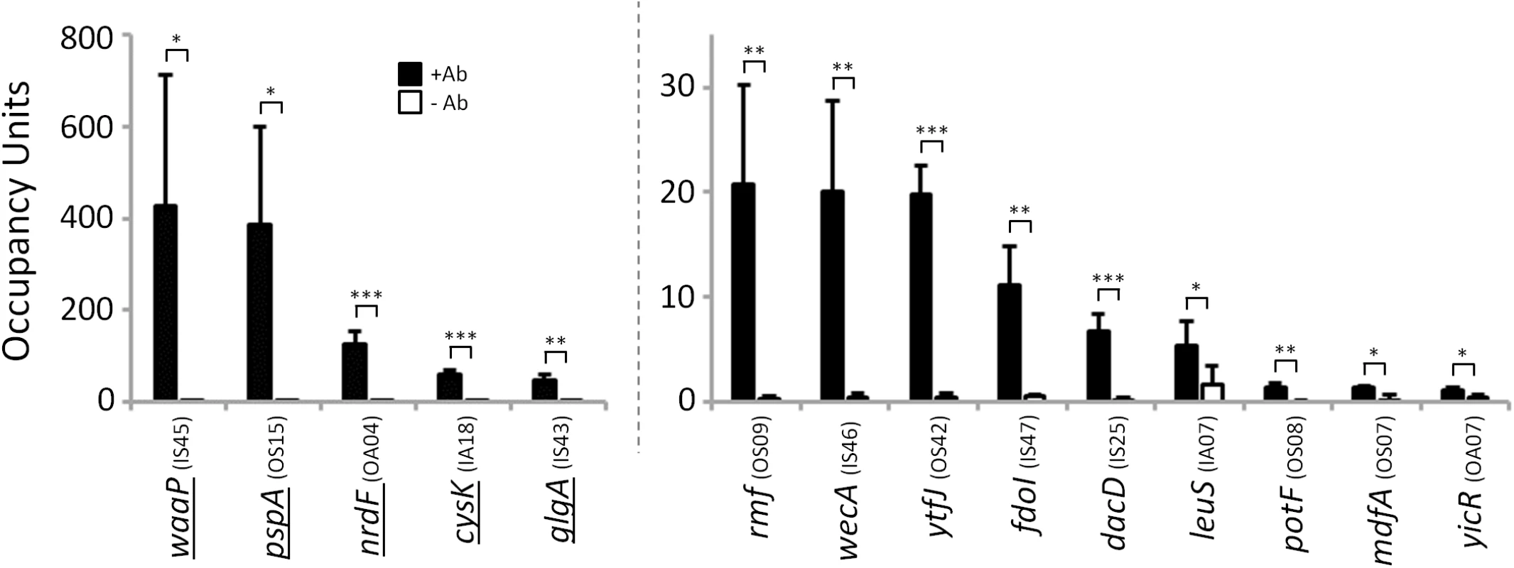 σ<sup>54</sup> binds conserved sites in <i>Salmonella enterica</i>.