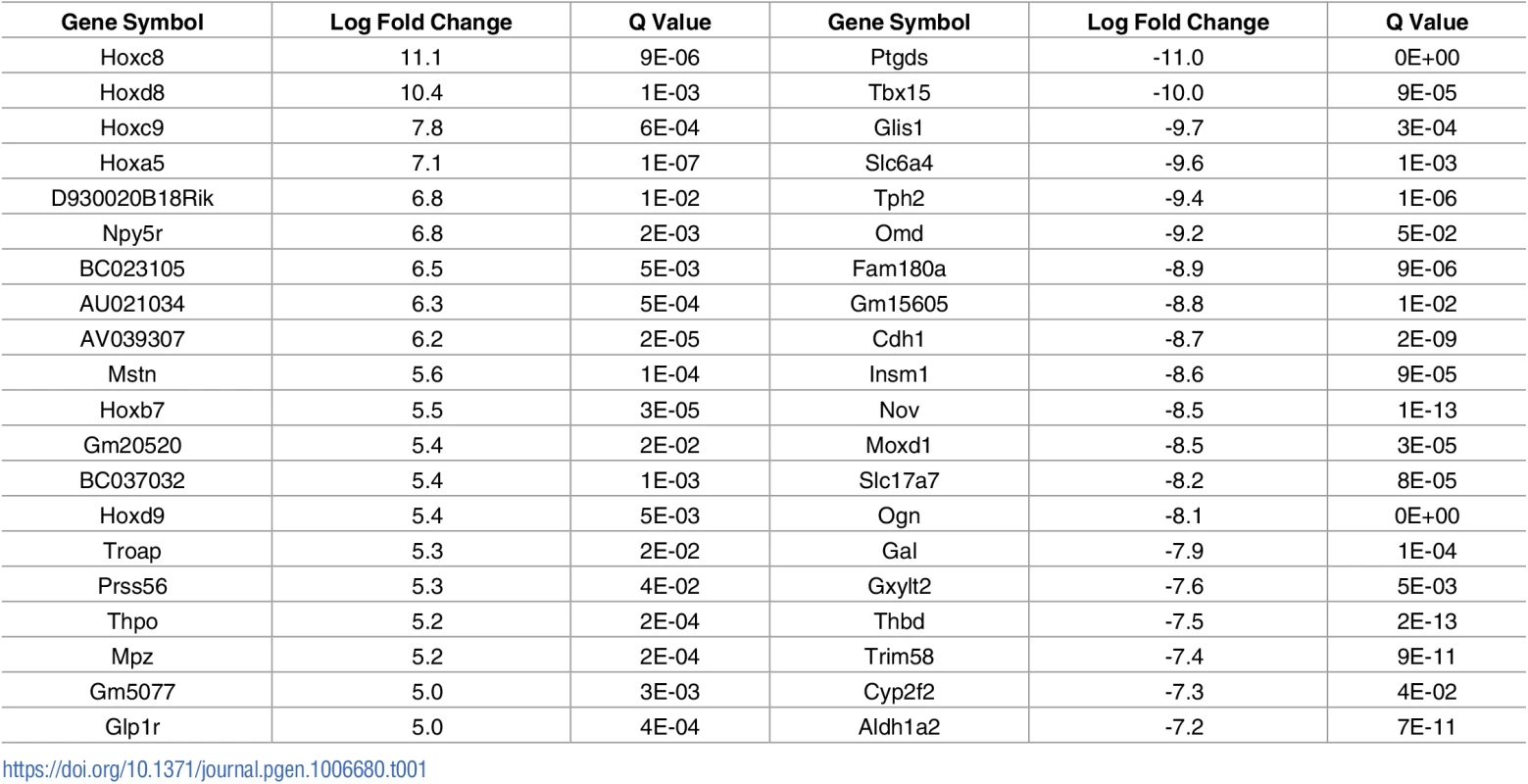 Top 20 transcriptional changes identified between vulnerable (abdominal) and resistant (cranial) motor neurons from P10 wild-type mice.