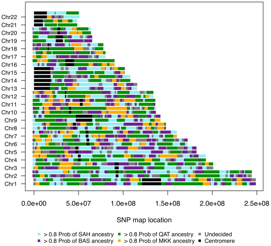 Genome admixture deconvolution karyogram of an Egyptian.