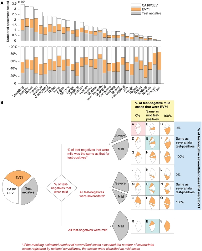 Estimating the percentage of mild and severe HFMD cases attributed to EV71 in China.