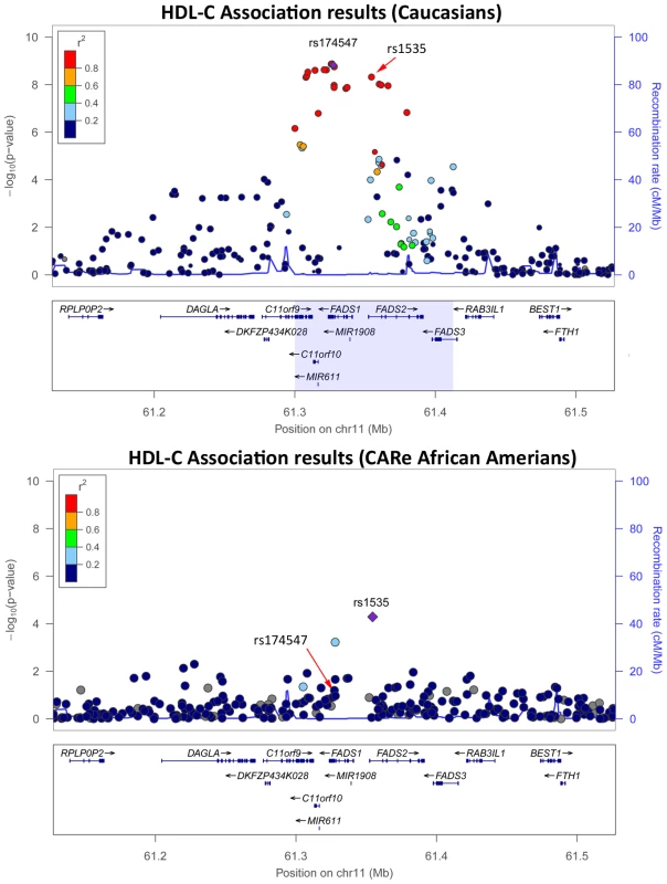 HDL-C association results in Caucasians (top panel) <em class="ref">[<b>26</b>]</em> and in the CARe African Americans (bottom panel) at the <i>FADS</i> locus.
