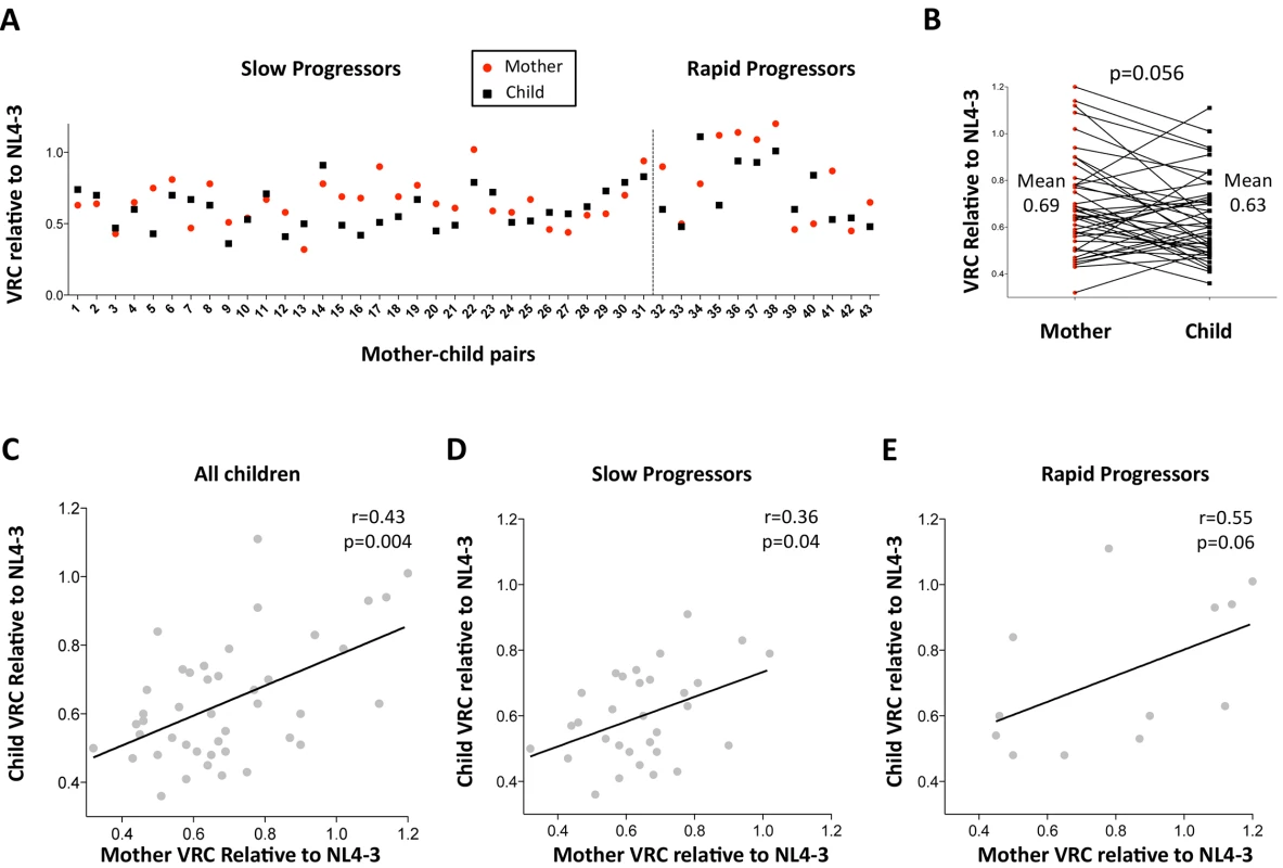 Relationship between maternal VRC and pediatric VRC.