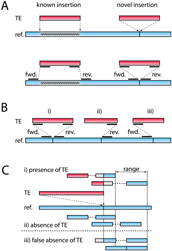 Outline of the method used to identify TE insertion polymorphism.