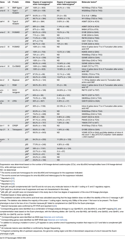 Summary of the mutant alleles isolated in the <i>sma-9</i> suppressor screen.