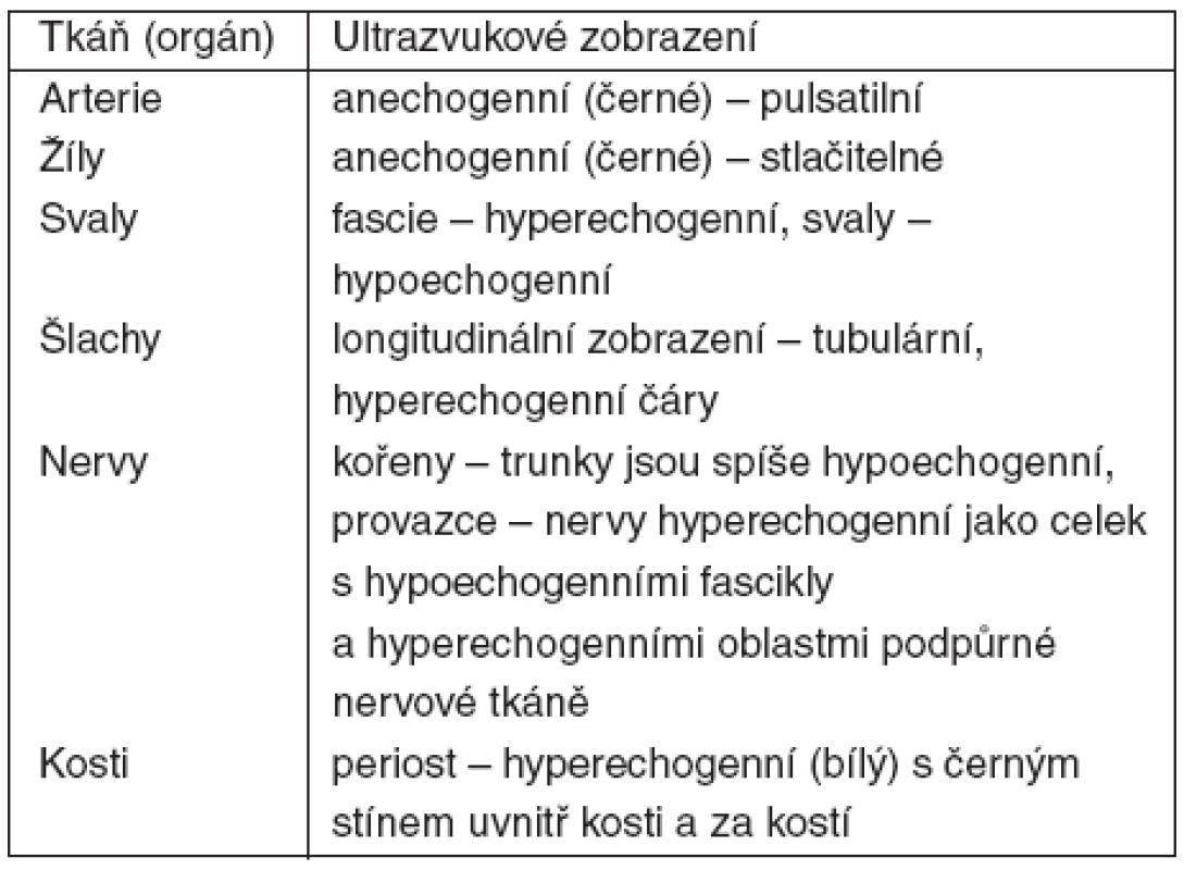 Ultrazvukové zobrazení jednotlivých tkání a orgánů