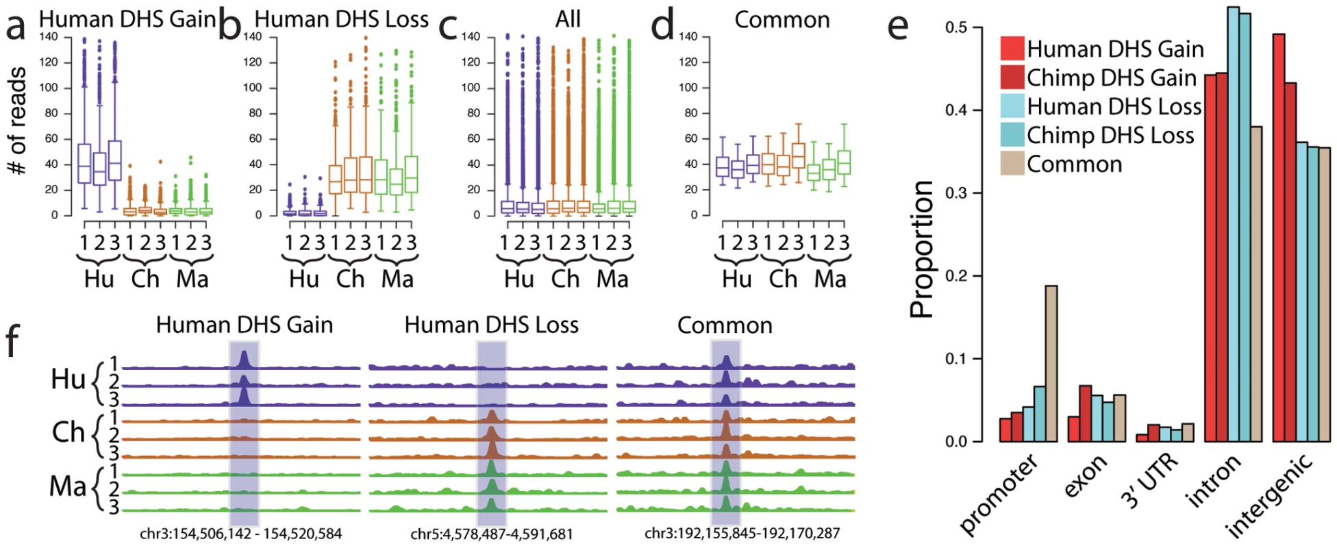 Identification of species-specific differences in DHS sites.