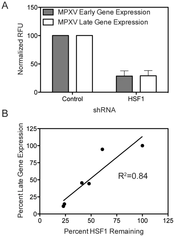 HSF1 is also a critical host factor for monkeypox infection.