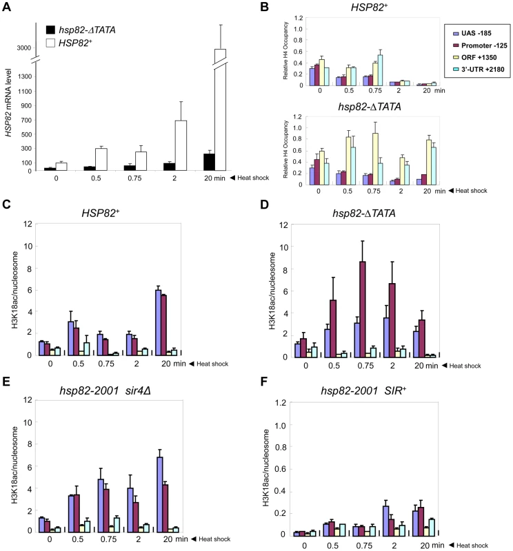 Euchromatic <i>hsp82-ΔTATA</i> undergoes nucleosomal disassembly and H3 hyperacetylation within its 5′-regulatory region.