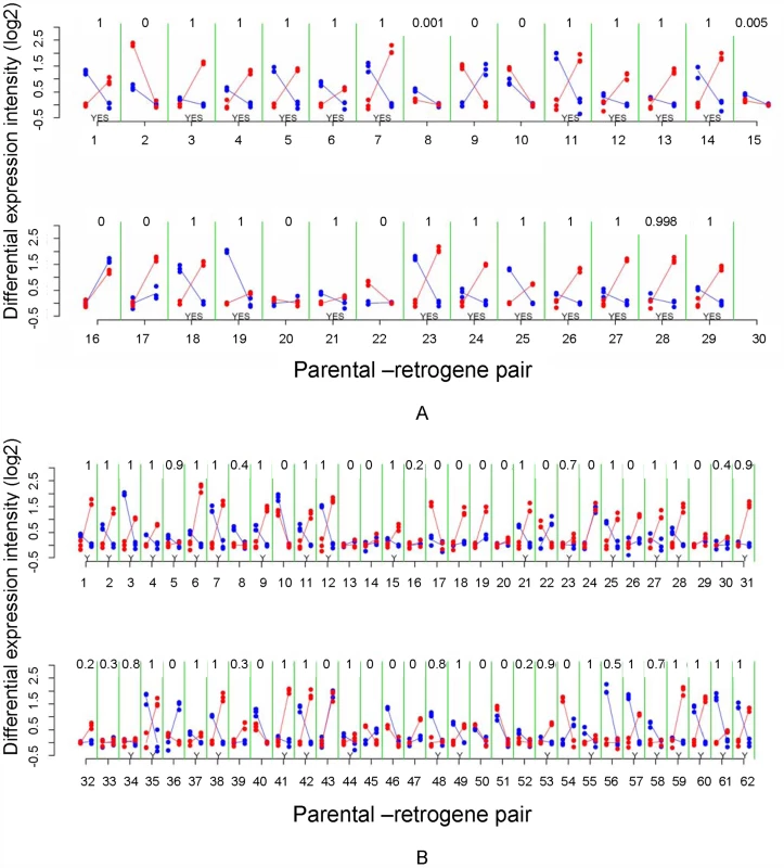 Mitotic and meiotic expression of individual parental-retrogene pairs.